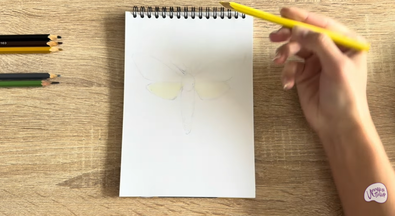 Рисуем Древесница въедливая