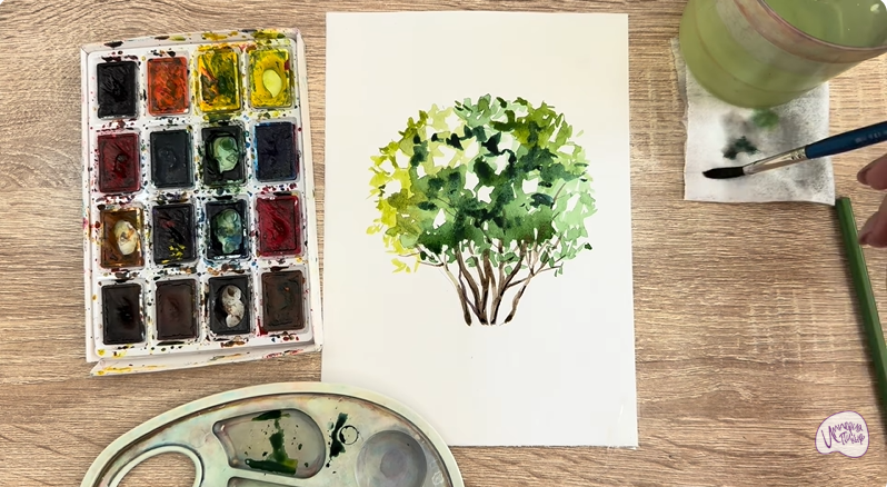 Рисуем Саженец бирючины