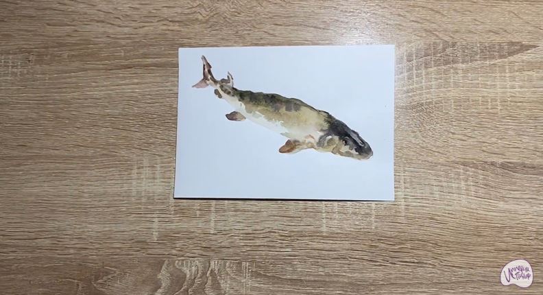 Рисуем Стерлядь