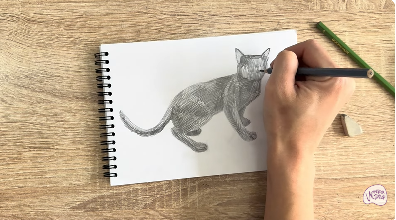 Рисуем Бомбейская кошка