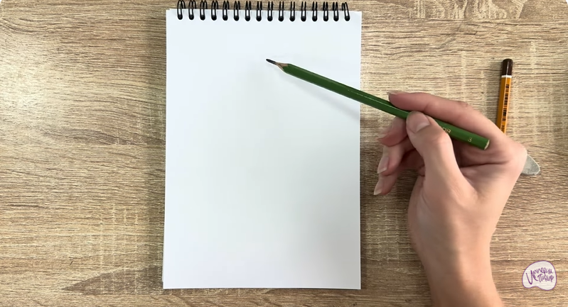 Рисуем Норвежский лесной кот