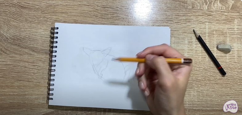 Рисуем Галаго