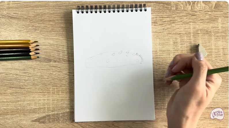 Рисуем Голотурия