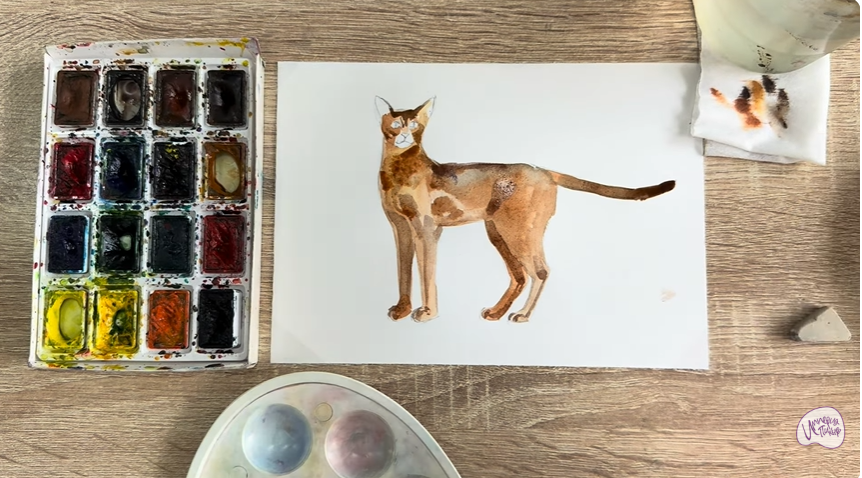 Рисуем Кошка "Чаузи"