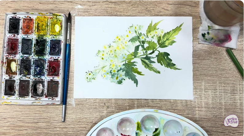 Рисуем Таволга