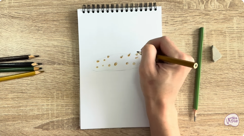 Рисуем Голотурия