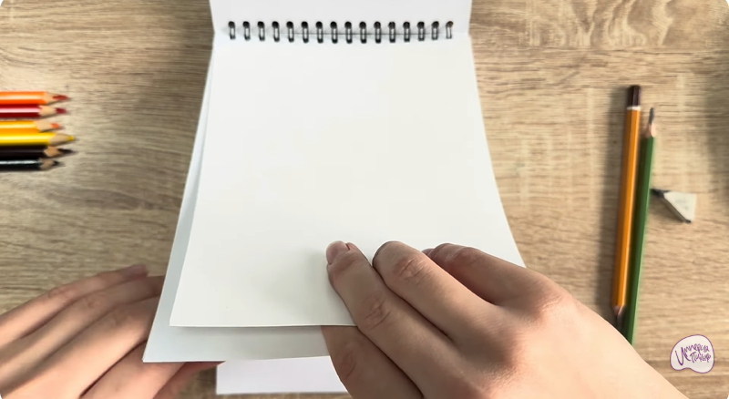 Рисуем Малинница обыкновенная