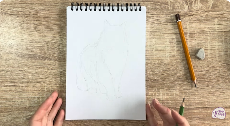 Рисуем Норвежский лесной кот