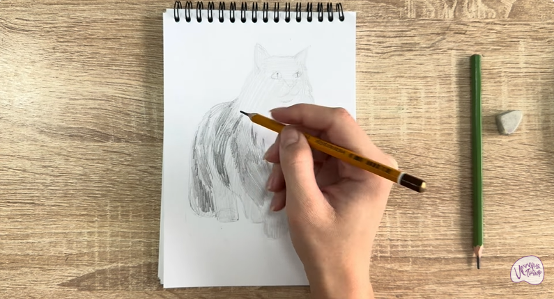 Рисуем Норвежский лесной кот