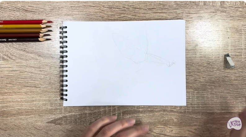 Рисуем Бурый ушан