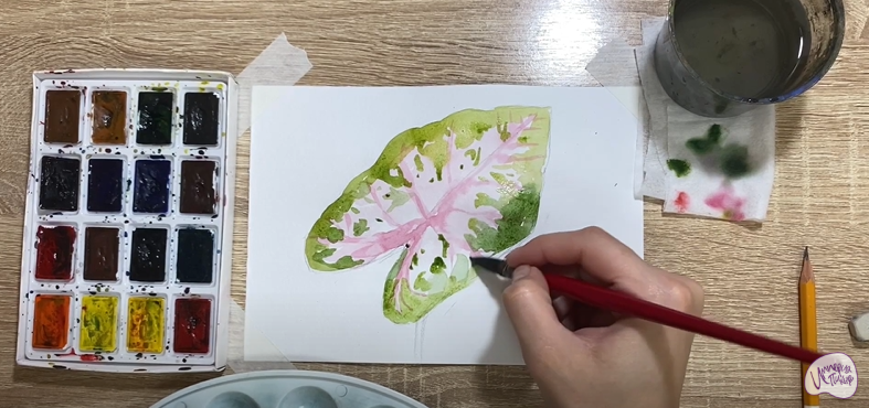Рисуем Лист каладиума
