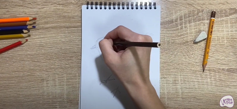 Рисуем Птичка "Зарянка"