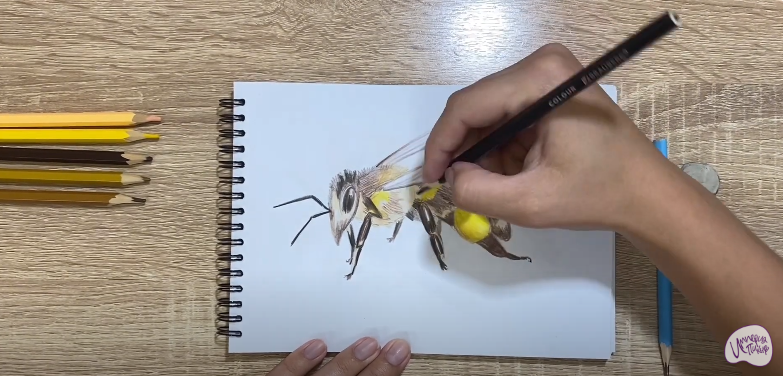 Рисуем Пчела