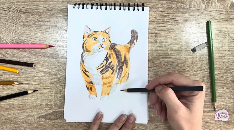 Рисуем Кошка породы "Манчкин"