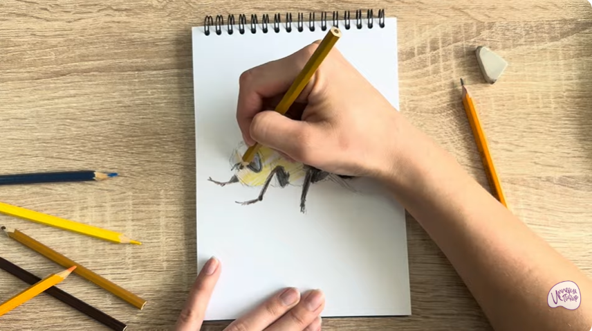 Рисуем Овод
