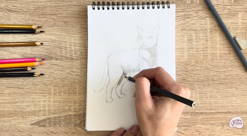 Рисуем Кошка Бурмилла