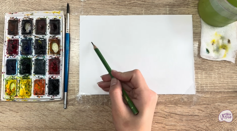 Рисуем Тимьян