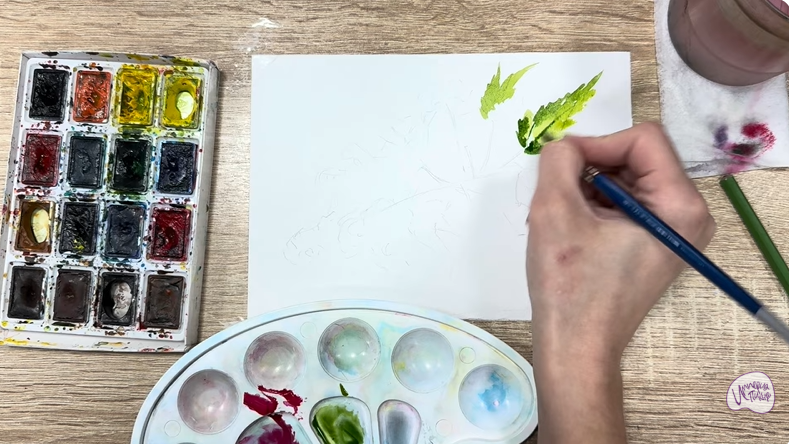 Рисуем Таволга