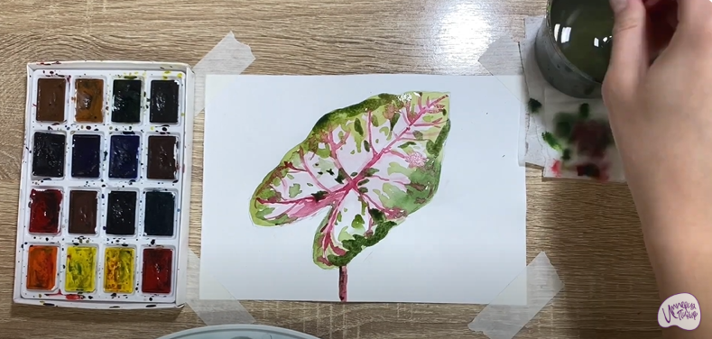 Рисуем Лист каладиума