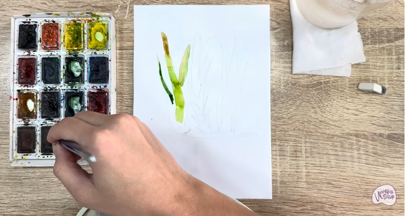 Рисуем Аир болотный