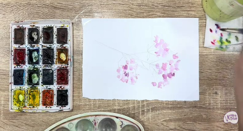 Рисуем Душица