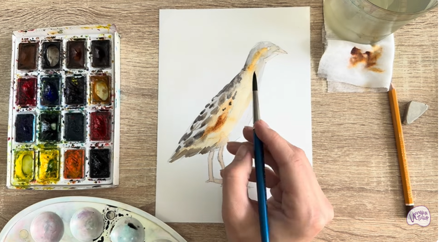 Рисуем Коростель