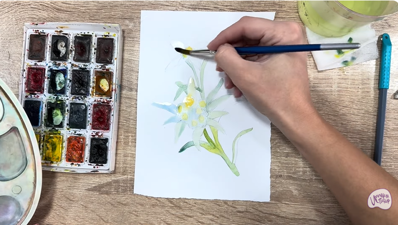 Рисуем Эдельвейс