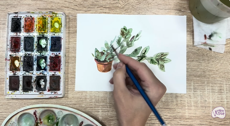 Рисуем Пеллиония в горшке