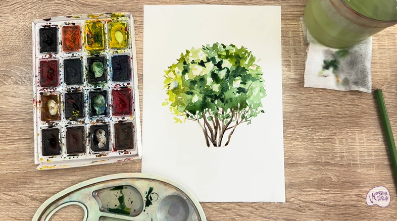 Рисуем Саженец бирючины