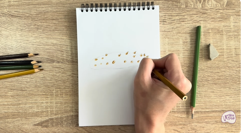 Рисуем Голотурия