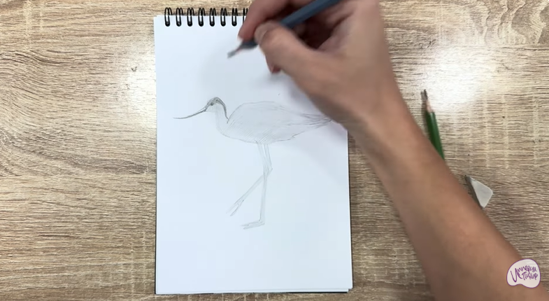 Рисуем Шилоклювка