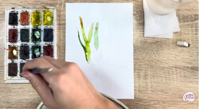 Рисуем Аир болотный