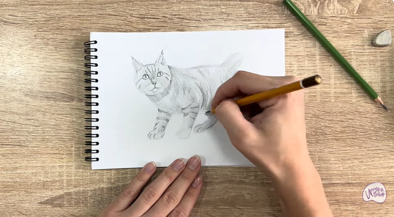 Рисуем Пиксибоб