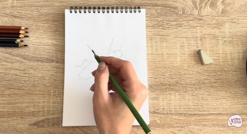 Рисуем Мукоед