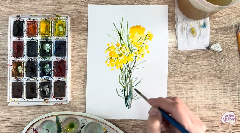 Рисуем Бессмертник