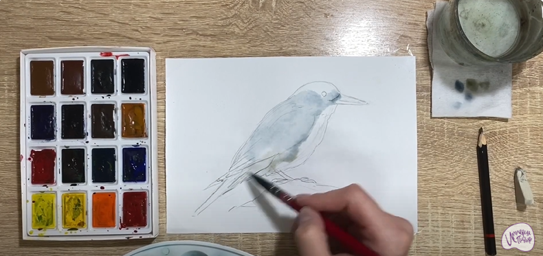 Рисуем Кедровка