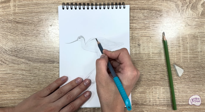 Рисуем Шилоклювка