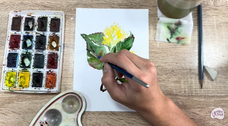 Рисуем Диервилла