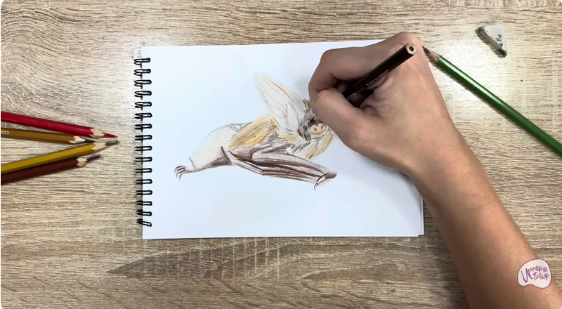 Рисуем Бурый ушан