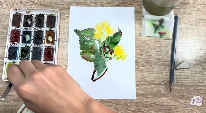 Рисуем Диервилла