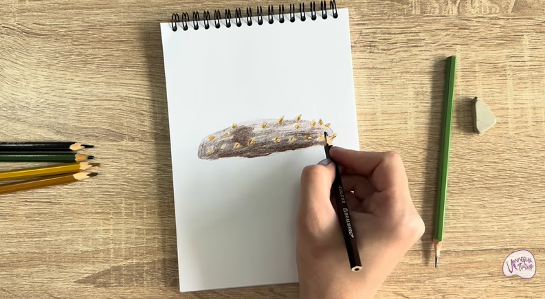 Рисуем Голотурия