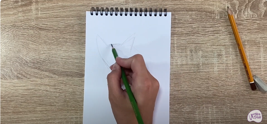 Рисуем Балинезийская кошка