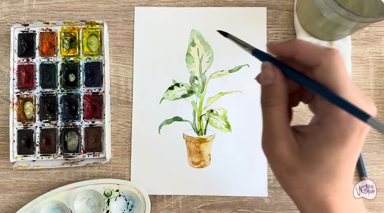 Рисуем Диффенбахия в горшке