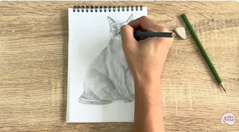 Рисуем Бурманский кот