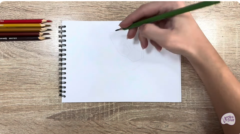 Рисуем Бурый ушан