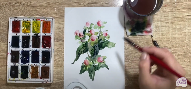 Рисуем Цветок "Гиперикум"