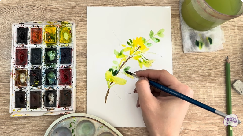 Рисуем Ветка караганы