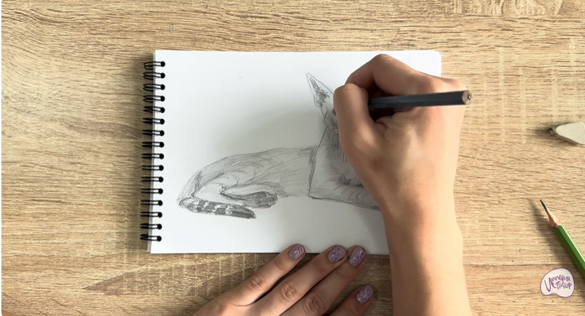 Рисуем Ориентальная кошка