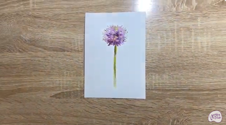 Рисуем Цветок "Аллиум"