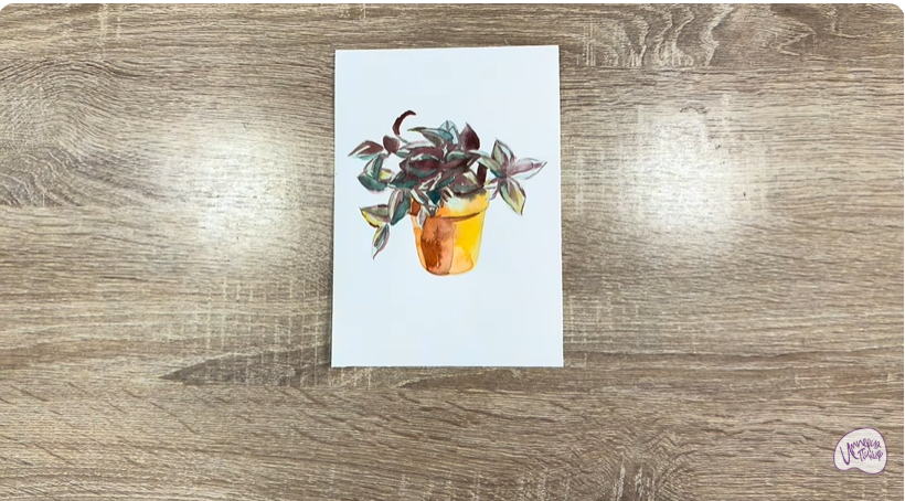 Рисуем Традесканция